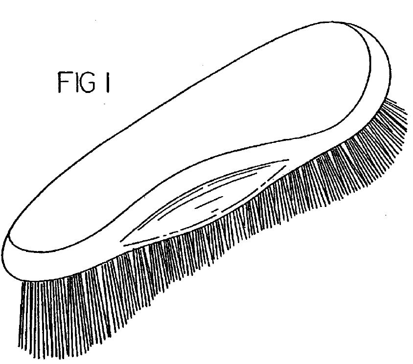 Ornamental design for equine grooming brush D509658 Fig 1