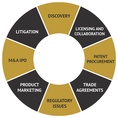 Discovery; Licensing and Collaboration; Patent Procurement; Trade Agreements; Regulatory Issues; Product marketing; M&A IPO; and Litigation