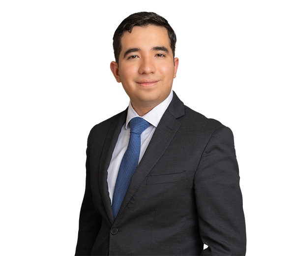 Mauricio Garibaldi Bustamante