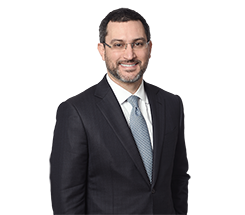 David I. Schulman bio image